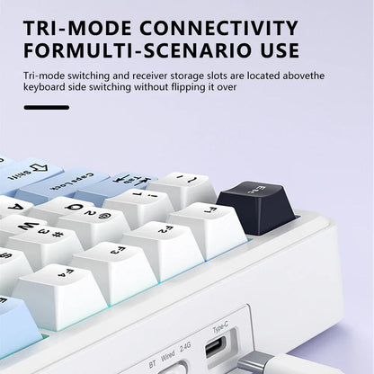 Close-up of Techwu F75 MAX tri-mode wireless keyboard showing white and blue keys with Type-C and BT ports